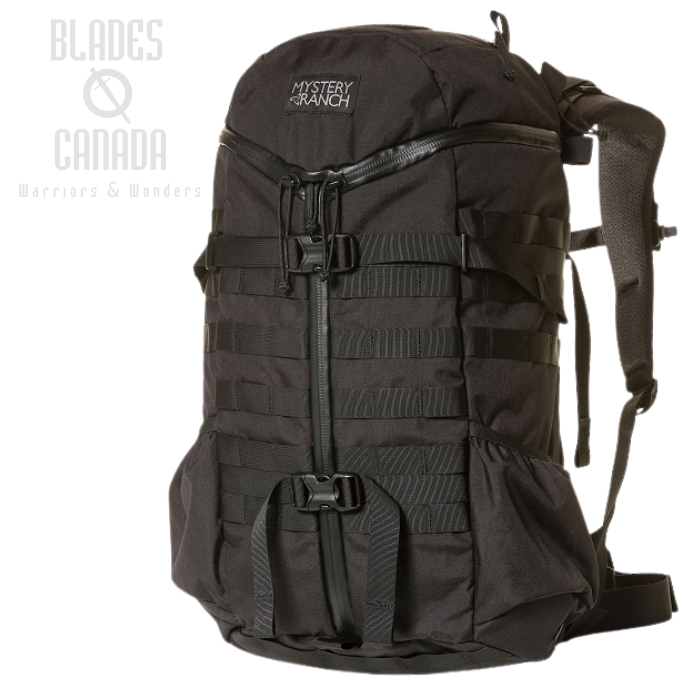 Mystery Ranch 2 Day Assault Pack - Black - L/XL
